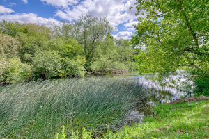 Land & River Frontage- click for photo gallery